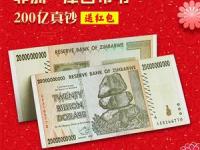 IM电竞官网-津巴布韦女足球员获得进球王头衔