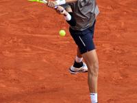 IM电竞下载-蒙特卡洛大师赛完胜戴维斯杯，兹维列夫点燃赛场的简单介绍