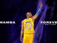 IM英雄联盟竞猜-双城记，黄蜂终场绝杀与布伦森德甲封神—关键时刻的竞技美学