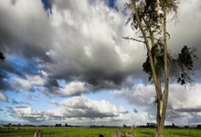 IM电竞博彩-皇家马德里喜获胜利，小组赛取得突破的简单介绍