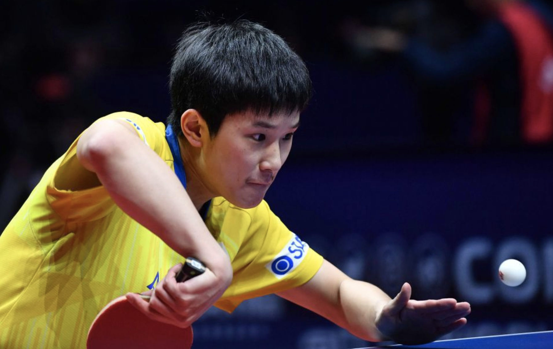 韩国乒乓球队鏖战日本乒乓球队,水谷隼惊艳世界的简单介绍 韩国乒乓球队鏖战日本乒乓球队,水谷隼惊艳世界的简单介绍