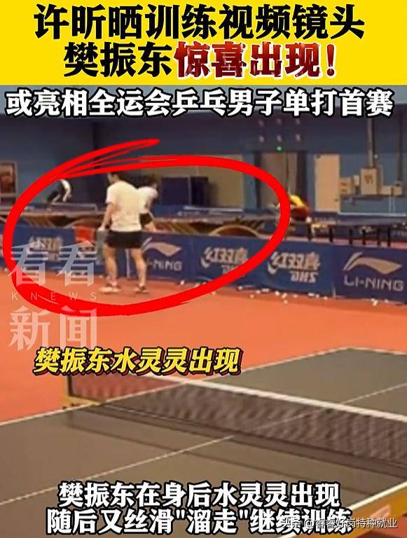 关于日本乒乓球队血洗英国乒乓球队，许昕关键制胜的信息