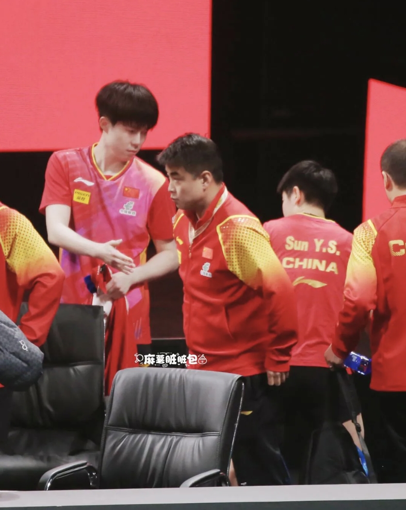 中国乒乓球队血洗比利时乒乓球队，王皓送出助攻的简单介绍